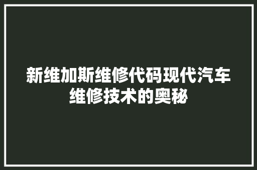 新维加斯维修代码现代汽车维修技术的奥秘