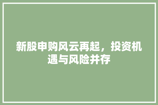 新股申购风云再起，投资机遇与风险并存