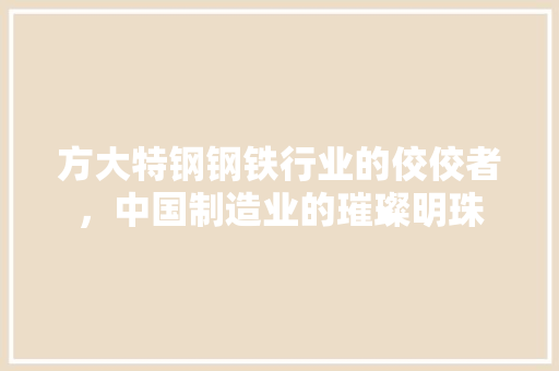 方大特钢钢铁行业的佼佼者，中国制造业的璀璨明珠