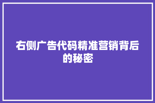 右侧广告代码精准营销背后的秘密