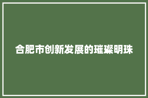 合肥市创新发展的璀璨明珠