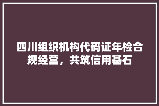 四川组织机构代码证年检合规经营，共筑信用基石