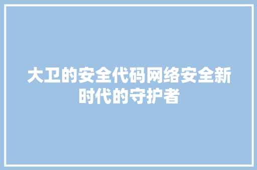 大卫的安全代码网络安全新时代的守护者