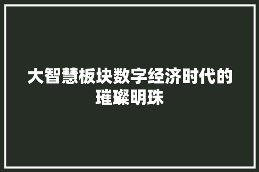 大智慧板块数字经济时代的璀璨明珠