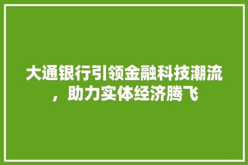 大通银行引领金融科技潮流，助力实体经济腾飞