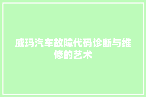 威玛汽车故障代码诊断与维修的艺术