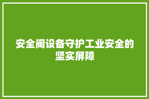 安全阀设备守护工业安全的坚实屏障