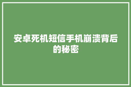 安卓死机短信手机崩溃背后的秘密