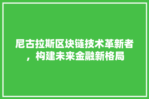 尼古拉斯区块链技术革新者，构建未来金融新格局