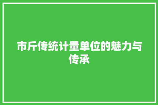 市斤传统计量单位的魅力与传承