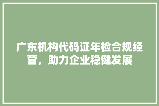 广东机构代码证年检合规经营，助力企业稳健发展