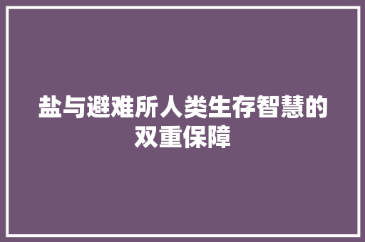 盐与避难所人类生存智慧的双重保障