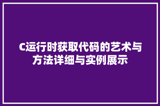 C运行时获取代码的艺术与方法详细与实例展示