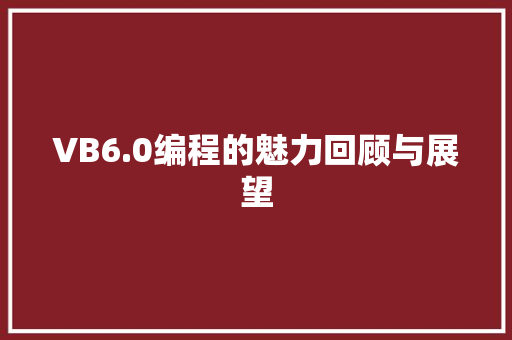 VB6.0编程的魅力回顾与展望