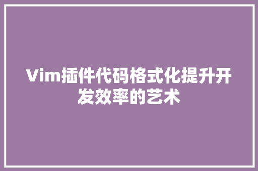 Vim插件代码格式化提升开发效率的艺术