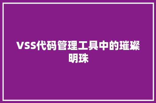 VSS代码管理工具中的璀璨明珠