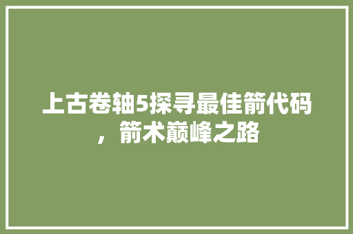 上古卷轴5探寻最佳箭代码，箭术巅峰之路