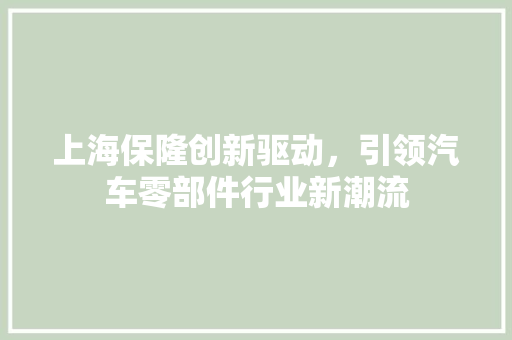 上海保隆创新驱动，引领汽车零部件行业新潮流