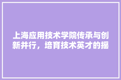 上海应用技术学院传承与创新并行，培育技术英才的摇篮