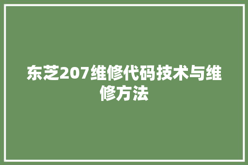 东芝207维修代码技术与维修方法