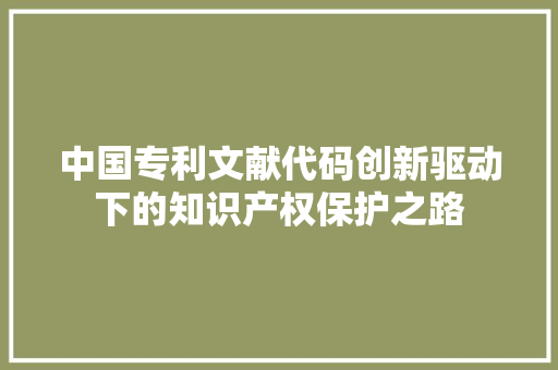 中国专利文献代码创新驱动下的知识产权保护之路