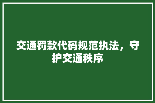 交通罚款代码规范执法，守护交通秩序