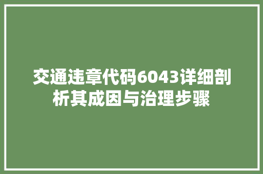 交通违章代码6043详细剖析其成因与治理步骤