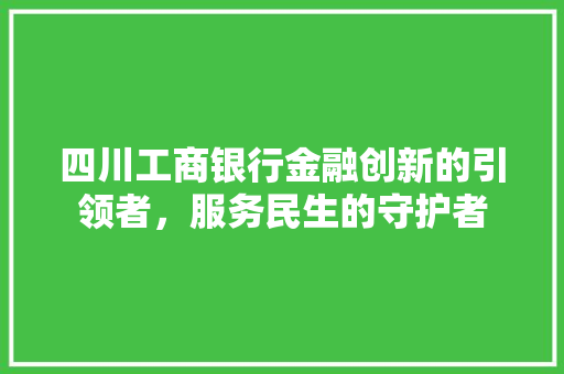 四川工商银行金融创新的引领者，服务民生的守护者