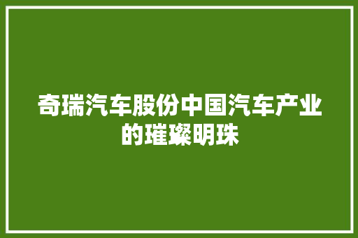 奇瑞汽车股份中国汽车产业的璀璨明珠