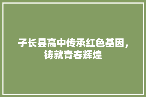 子长县高中传承红色基因，铸就青春辉煌