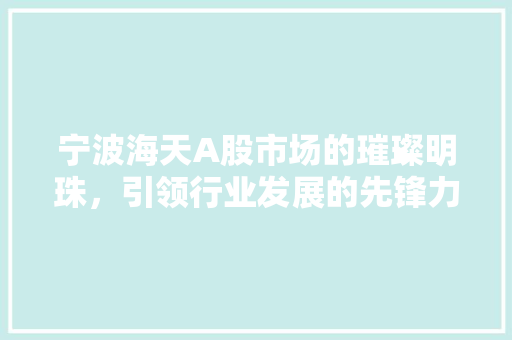 宁波海天A股市场的璀璨明珠，引领行业发展的先锋力量