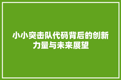 小小突击队代码背后的创新力量与未来展望