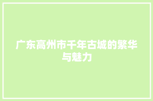 广东高州市千年古城的繁华与魅力