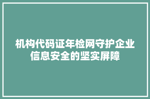 机构代码证年检网守护企业信息安全的坚实屏障