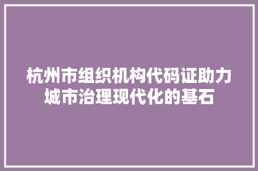 杭州市组织机构代码证助力城市治理现代化的基石