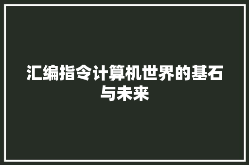 汇编指令计算机世界的基石与未来