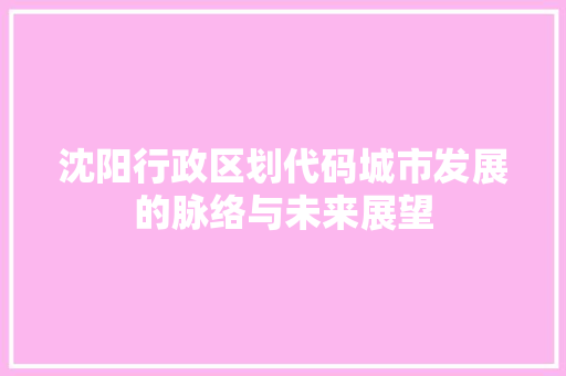 沈阳行政区划代码城市发展的脉络与未来展望