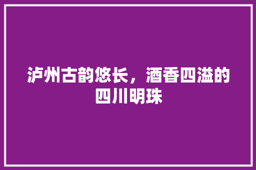 泸州古韵悠长，酒香四溢的四川明珠