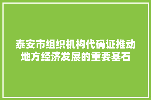 泰安市组织机构代码证推动地方经济发展的重要基石