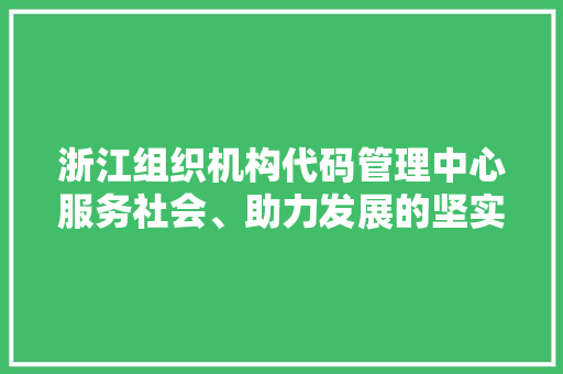 浙江组织机构代码管理中心服务社会、助力发展的坚实基石