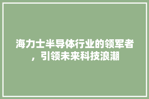 海力士半导体行业的领军者，引领未来科技浪潮