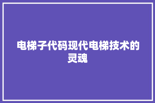 电梯子代码现代电梯技术的灵魂