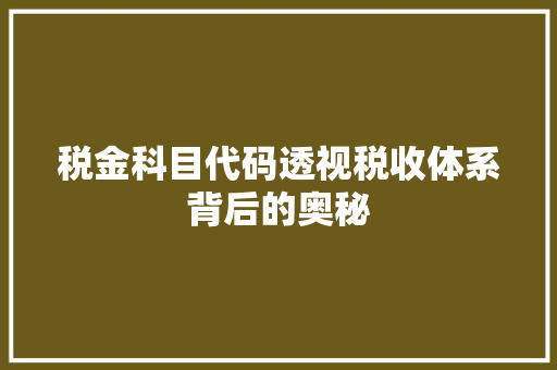 税金科目代码透视税收体系背后的奥秘