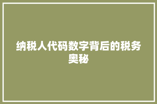 纳税人代码数字背后的税务奥秘