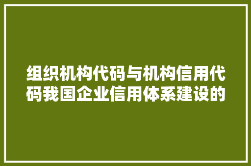 组织机构代码与机构信用代码我国企业信用体系建设的重要基石