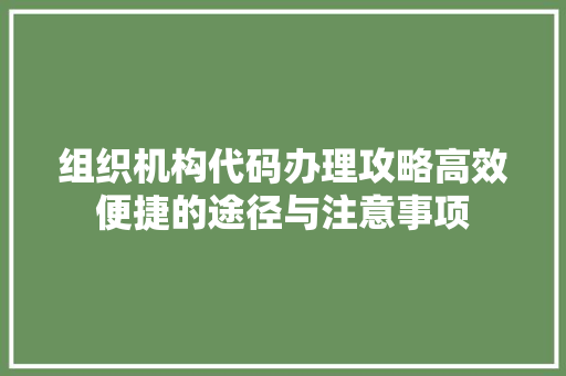 组织机构代码办理攻略高效便捷的途径与注意事项