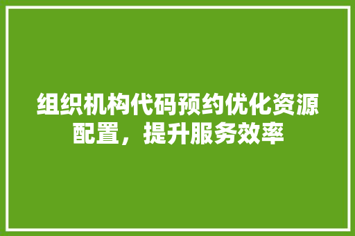 组织机构代码预约优化资源配置，提升服务效率