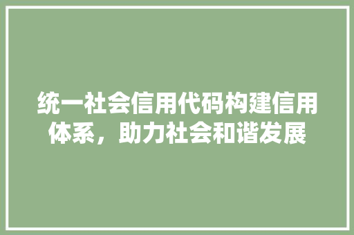 统一社会信用代码构建信用体系，助力社会和谐发展