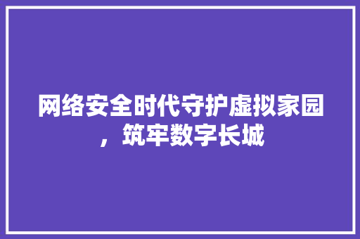 网络安全时代守护虚拟家园，筑牢数字长城