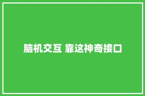 脑机交互 靠这神奇接口